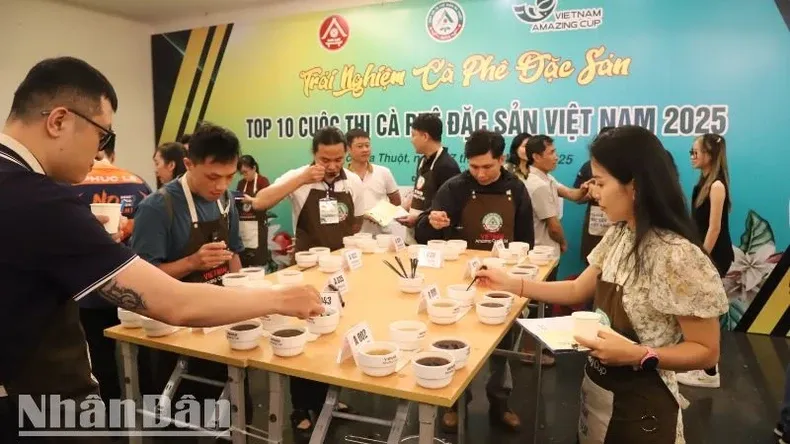 Judges cup coffees at the 2025 Vietnam Specialty Coffee Competition