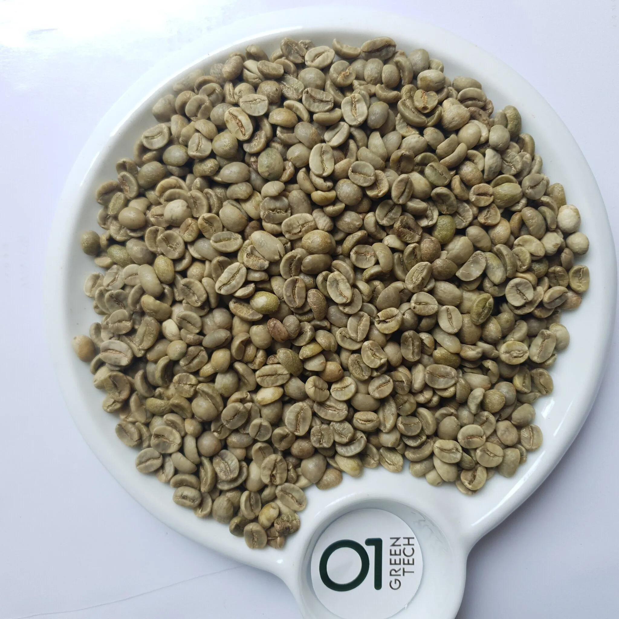Arabica G1 · S18 · Color Sorted