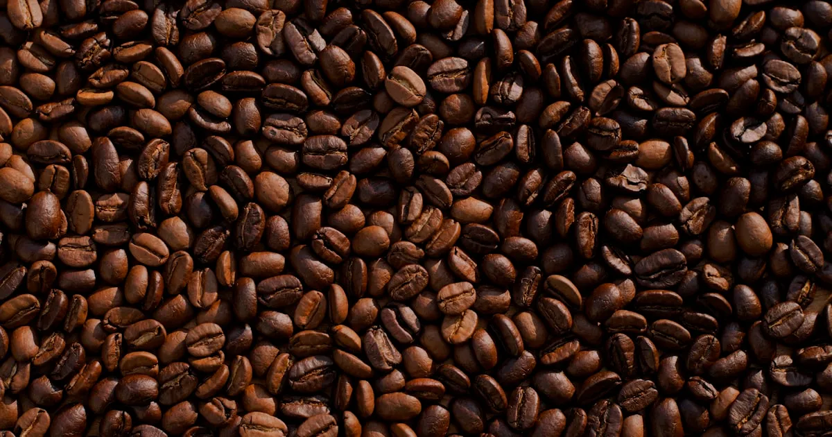 Premium Coffee Now Exported to Japan, Korea, and Europe