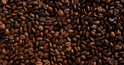 Premium Coffee Now Exported to Japan, Korea, and Europe