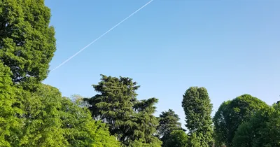 GreenTech Successfully Exports Fresh Durian to China