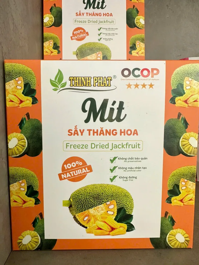 Freeze-dried jackfruit pieces