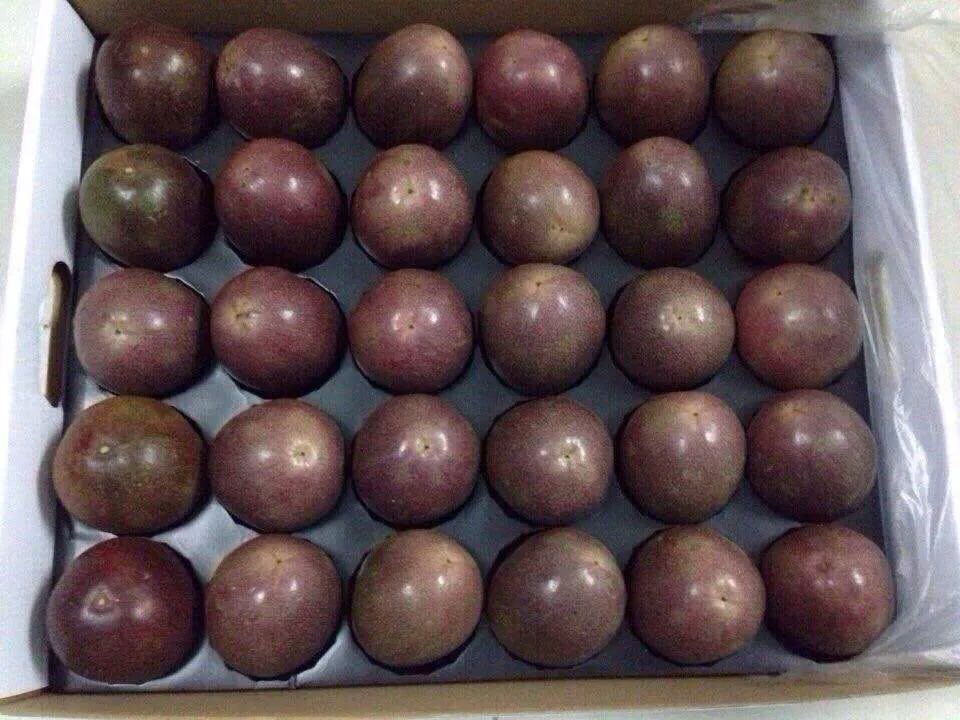 Packed passion fruit used for Vietnam fruit export planning