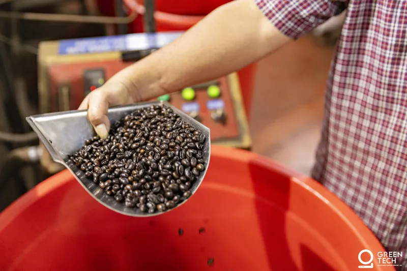 Coffee beans scooped from roasting drum