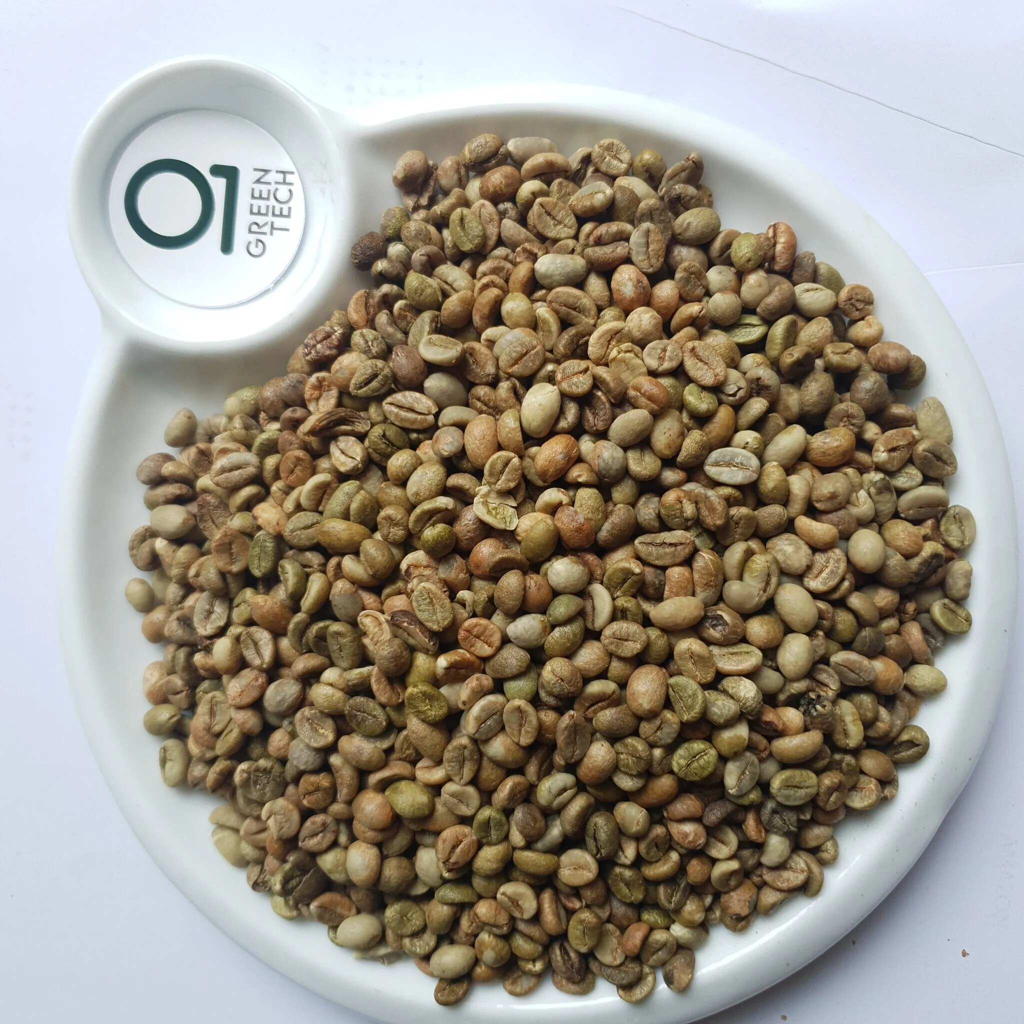 Robusta G1 · S16 · Color Sorted