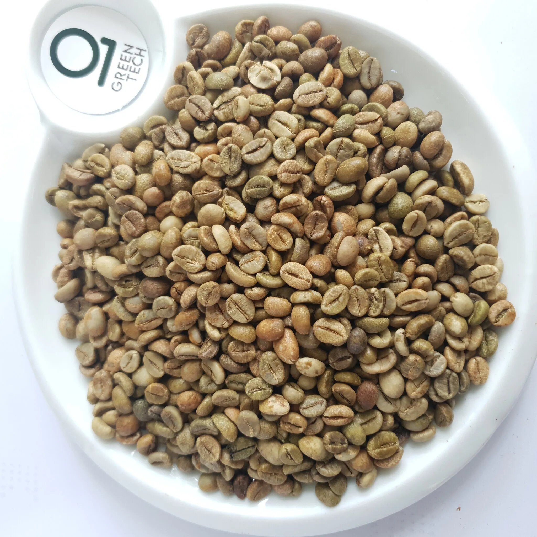 Robusta G1 · S18 · Color Sorted