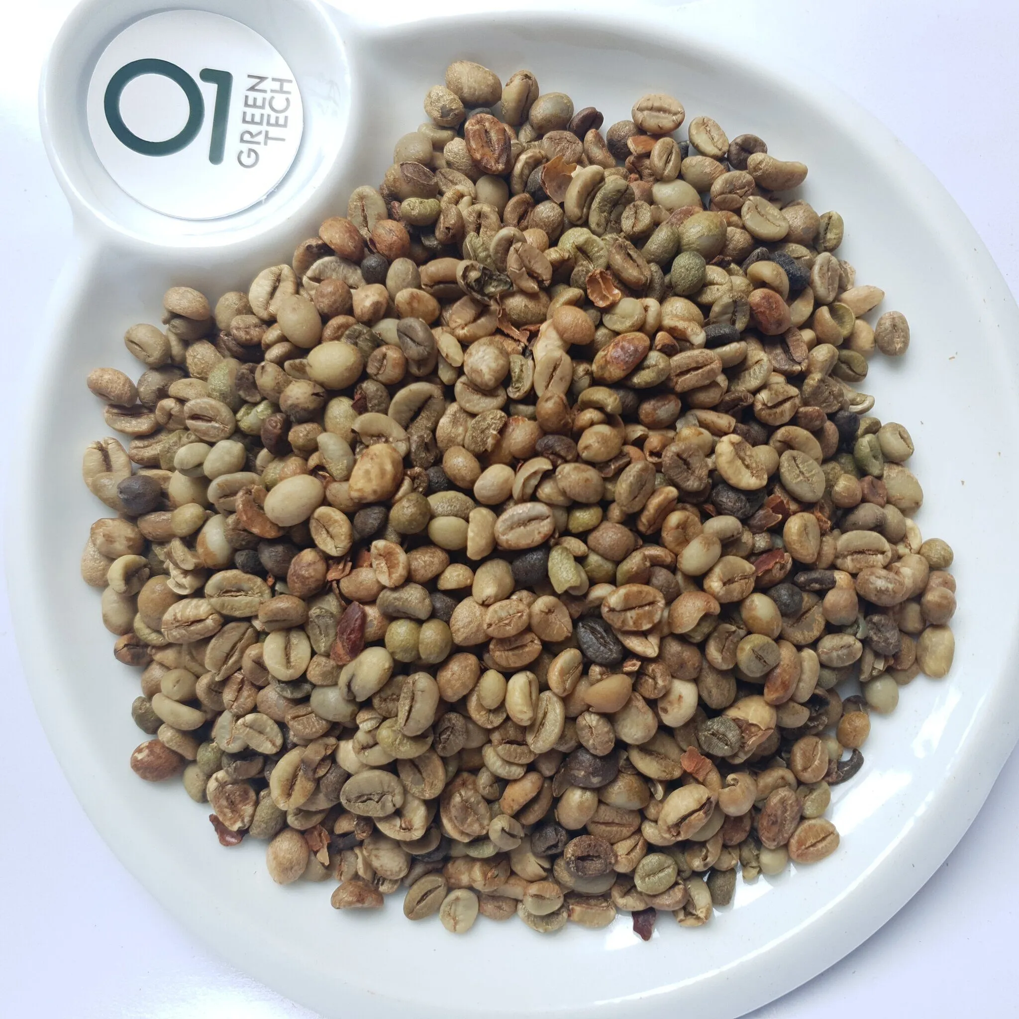 Robusta G2 · Standard