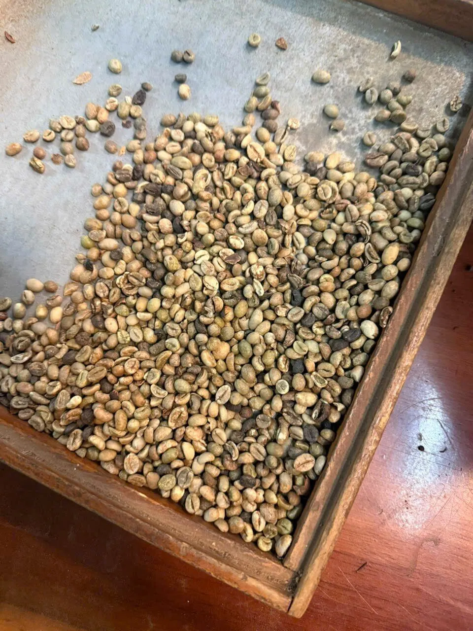 Robusta G2 · Underscreen