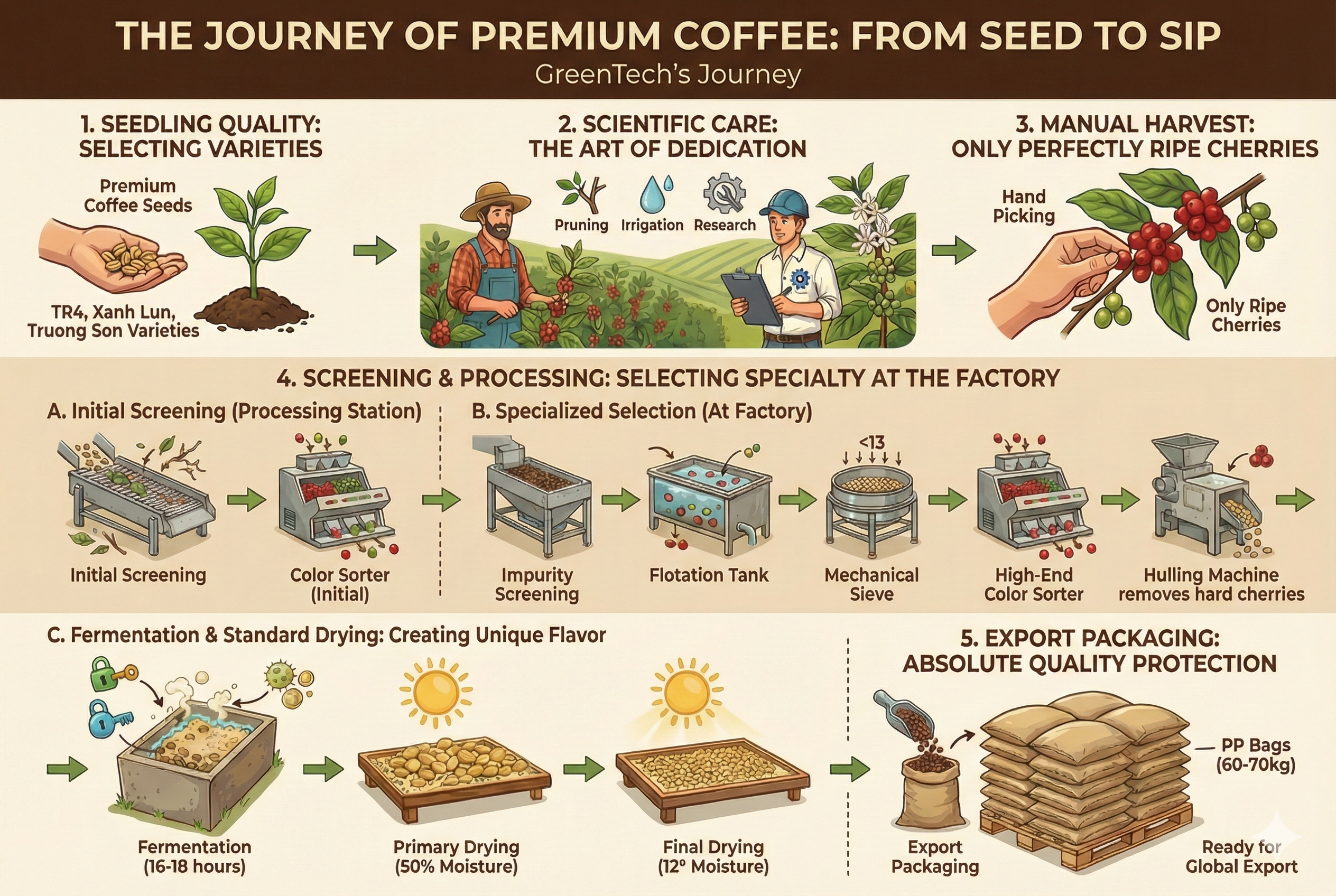 Coffee beans processing