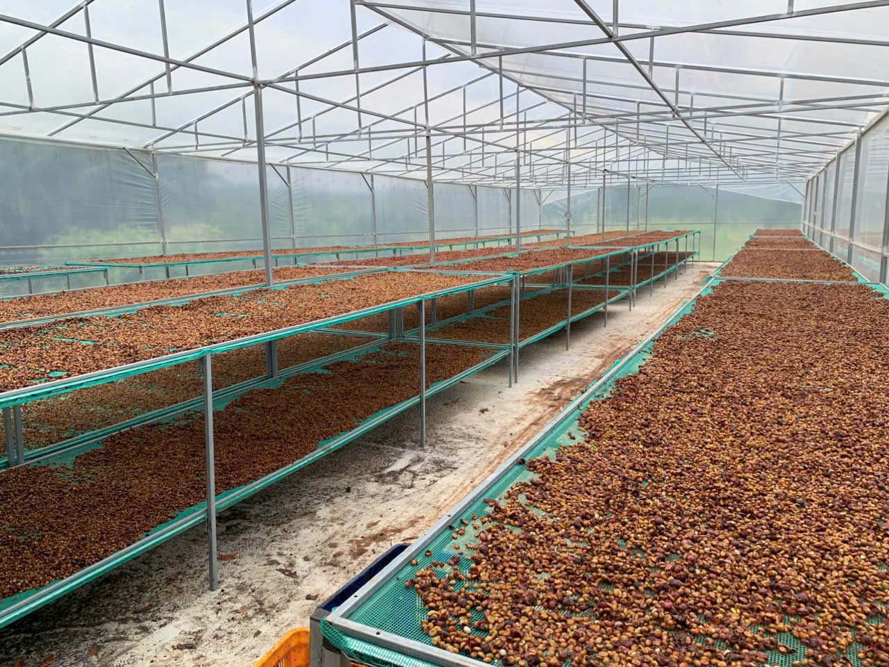 Premium Vietnamese Coffee